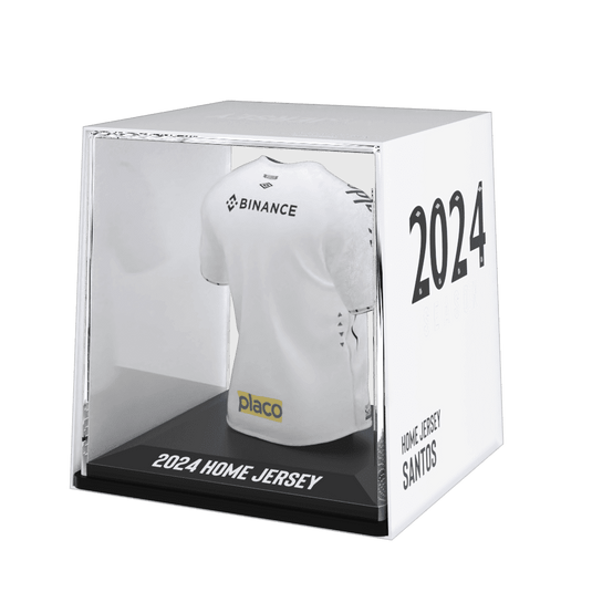 Santos FC 2024 - Splink