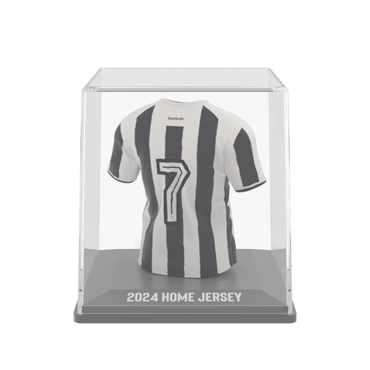 Botafogo 2024 - Splink
