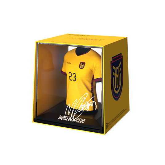 Moisés Caicedo - Home - FEF - 2026