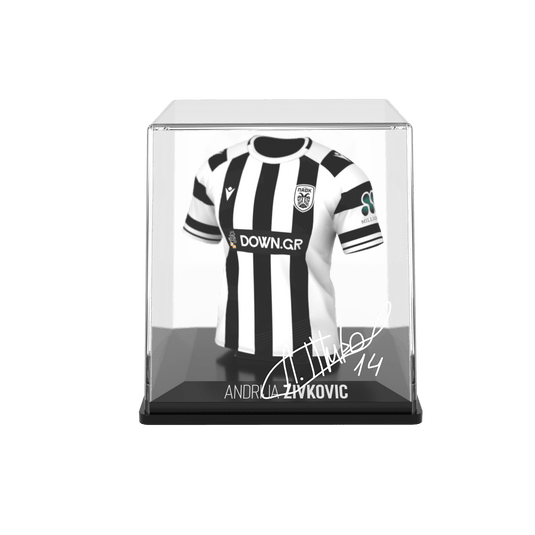 Andrija Zivkovic - Home - Paok - 2025/26 - FanCollex