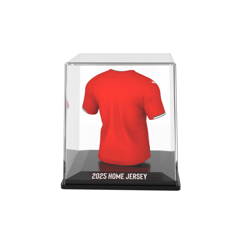 Load image into Gallery viewer, FPF - Home - 2025 - FanCollex
