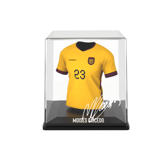 Moisés Caicedo - Home - FEF - 2026 - FanCollex