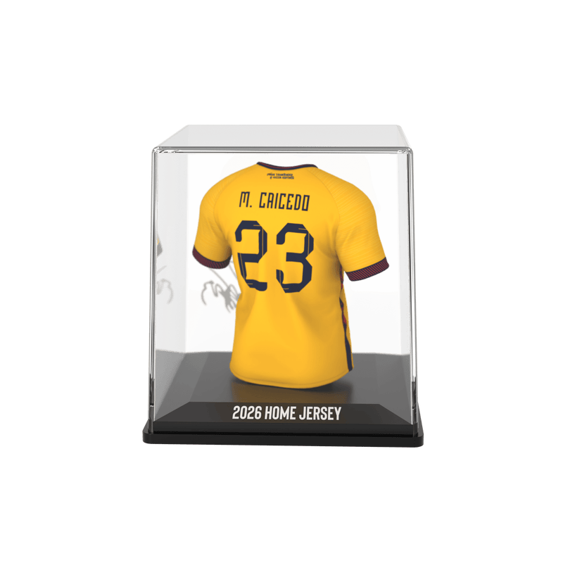 Load image into Gallery viewer, Moisés Caicedo - Home - FEF - 2026 - FanCollex
